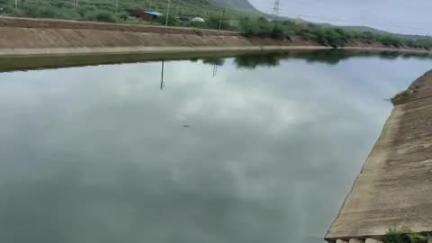 యర్రగొండపాలెం: సాగర్ నీరు వృధా కాకుండా అధికారులు పర్యవేక్షించాలని సూచించిన ఎర్రగొండపాలెం టీడీపీ నియోజకవర్గ ఇంఛార్జి ఎరిక్షన్ బాబు