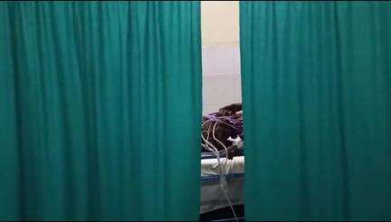 बांसवाड़ा: अणात गांव में पशुओं को पानी पिलाते समय महिला को जहरीले जानवर ने काटा, हुई मौत, शव को मोर्चरी में रखा गया