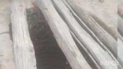 ब्यौहारी: पपौंध के खारी छोट में बारात में आए मौसा की कुएं में गिरने से मौत, परिवारों में छाया मातम