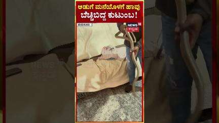 #shorts Snake in Kitchen | ಅಡುಗೆ ಮನೆಯೊಳಗೆ ಹಾವು ಬೆಚ್ಚಿಬಿದ್ದ ಕುಟುಂಬ! | N18S