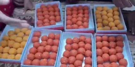 पटना ग्रामीण: नेता प्रतिपक्ष तेजस्वी यादव बने दूसरी बार पिता, राजद कार्यालय में जश्न; लोगों ने एक-दूसरे को खिलाई मिठाई