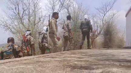 मझगवां: जंगल में दस्यु की आहट, मझगवां, बरौंधा और धारकुण्डी पुलिस की टीमें जंगल में संदिग्धों की तलाश कर रही हैं