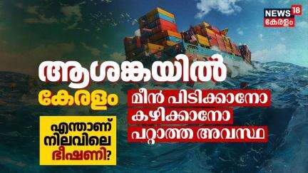 Kochi Ship Accident | ആശങ്കയിൽ Keralam, മീൻ പിടിക്കാനോ കഴിക്കാനോ പറ്റാത്ത അവസ്ഥ; എന്താണ് ഭീഷണി? N18V