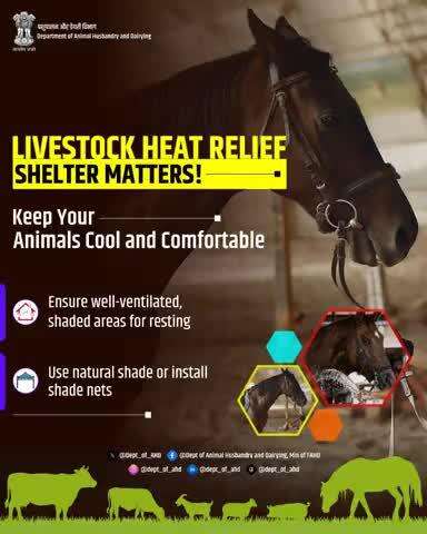 Livestock Heat Relief – Shelter Matters! 
Keep animals cool with well-ventilated, shaded resting areas. Use natural shade or install shade nets to protect them from the heat.
#LivestockCare #HeatRelief #AnimalShelter #DAHD
