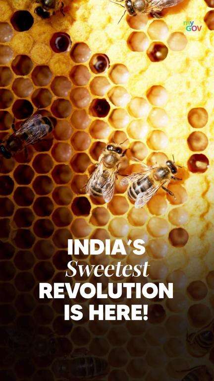 India’s Sweet Revolution is Buzzing!

PM Modi highlights the 60% surge in honey production from 75K to 1.25L MT in 11yrs