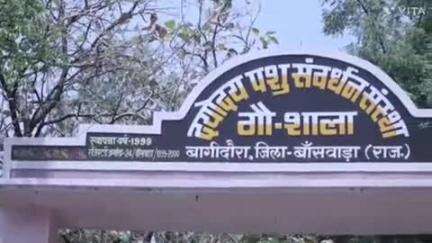 बागीदौरा: बागीदौरा के दयोदय पशु संवर्धन संस्थान का अवलोकन तहसीलदार डीसी बुनकर ने किया