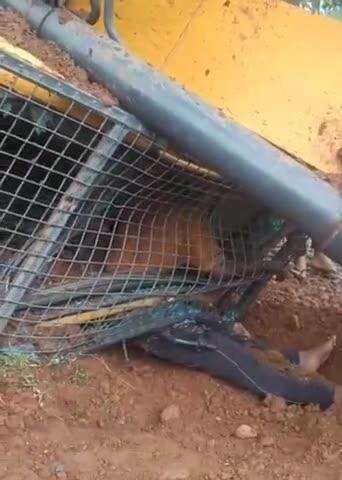 बगीचा: सन्ना थाना क्षेत्र के ग्राम कवई में ट्रेलर में लोड JCB मशीन पलटी, JCB चालक की दबने से हुई मौत