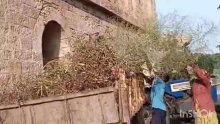 વઢવાણ: મહાનગરપાલિકા દ્વારા વઢવાણના અૈતિહાસિક હવામહેલમાં સફાઇ અભિયાન હાથ ધરાયું