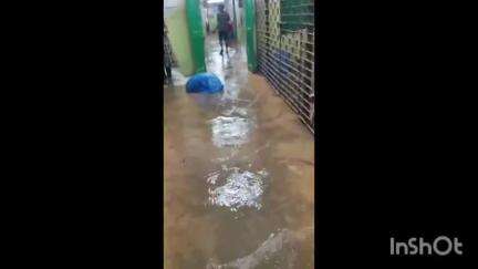 সোনামুখী: জলমগ্ন সোনামুখী গ্রামীণ হাসপাতাল
চিকিৎসা করাতে আসা মানুষজন নাজেহাল,কে কি বললেন শুনুন
#jansamasya