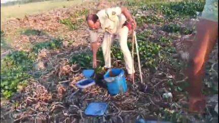 मोतिहारी: पूर्वी चंपारण मोतिहारी जिले के विभिन्न थाना क्षेत्रों में A.L.T.F. ने 1900 लीटर शराब विनिष्ट किया और 03 को गिरफ्तार किया