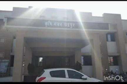 चंद्रपूर: 100 टक्के अनुदानावर सोयाबीन पिकाचे बियाणे ; महाडीबीटी पोर्टलवर अर्ज करण्याचे कृषी विभागाचे आवाहन