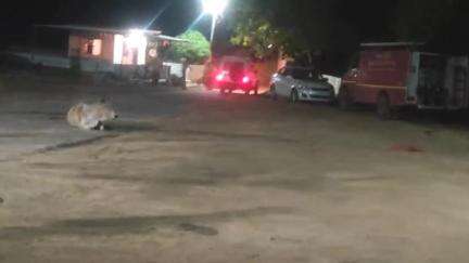 मैहर: लजीतनगर गांव के पास अज्ञात वाहन की टक्कर से बाइक सवार युवक घायल
