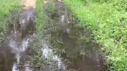 കൊടുങ്ങല്ലൂർ: എടവിലങ്ങിൽ വീട്ടിലേക്കുള്ള വഴിയിൽ ശുചിമുറി മാലിന്യം തള്ളി, തമിഴ്നാട് സ്വദേശിയെ നാട്ടുകാർ പിടികൂടി