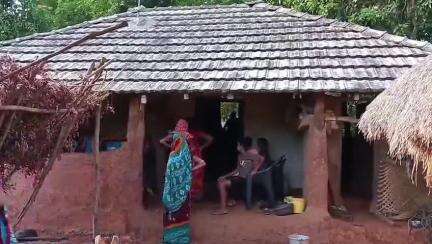ତେଲକୋଇ: ସ୍ଥାନୀୟ ରେଞ୍ଜରେ ହାତୀଙ୍କ ଉପଦ୍ରବରେ ଅତିଷ୍ଠ ଅଞ୍ଚଳବାସୀ ଓ ରଖିଲେ ପ୍ରତିକ୍ରିୟା #jansamasya