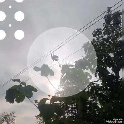 उतरौला: बिजली विभाग की लापरवाही से हो सकते हैं बड़े हादसे
