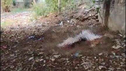 बहादुरगढ़: बालोर रोड स्थित भगत सिंह पार्क में युवक की हत्या, मौके पर पहुंची फॉरेंसिक टीम