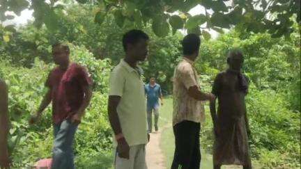 কৃষ্ণনগর ১: জলঙ্গী নদী পাড়ের একের পর এক গাছ কেটে ফেলার অভিযোগ জমি মাফিয়াদের বিরুদ্ধে,রুখে দাঁড়ানো এলাকাবাসীরা# jansamasya