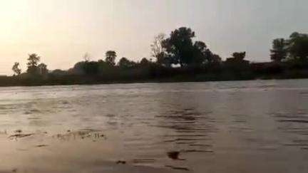 बलरामपुर: लगातार हो रही बारिश से बलरामपुर जिले में नदियों का जलस्तर बढ़ा, सूखे की चिंता खत्म