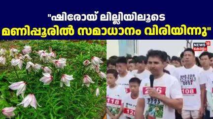 ഷിരോയ് ലില്ലിയിലൂടെ മണിപ്പൂരിൽ സമാധാനം വിരിയിന്നു | Manipur Back to Normal | Shiroy Lilly Festival |