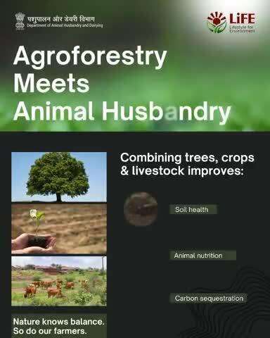 Agroforestry and animal husbandry together offer a time-tested path to healthier land, better livestock, and a cooler climate.
 #WorldEnvironmentDay #MissionLiFE  #EndPlasticPollution