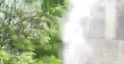 सीहोर नगर: नगर की दुर्गा कॉलोनी में मंगल भवन के पास खड़ी मारुति वैन में अचानक आग लगी, दमकल ने पाया काबू