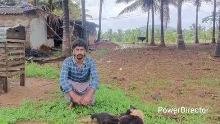 ಗುಂಡ್ಲುಪೇಟೆ: ಹೊಣಕನಪುರದಲ್ಲಿ ಚಿರತೆ ದಾಳಿಗೆ ಸಾಕುನಾಯಿ ಬಲಿ