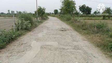गुन्नौर: तहसील गुन्नौर क्षेत्र की रजपुरा से अनूपशहर को जोड़ने वाली मुख्य सड़क इन दिनों जर्जर हो चुकी है  #jansamasya
