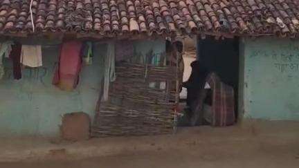 दुधि: मिनी स्टेडियम के निरीक्षण के दौरान मधुमक्खियों के हमले में ग्राम प्रधान समेत 5 लोग घायल, एक की हालत गंभीर