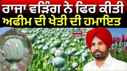 Mansa | ਪੰਜਾਬ ਕਾਂਗਰਸ ਪ੍ਰਧਾਨ ਰਾਜਾ ਵੜਿੰਗ ਨੇ ਫਿਰ ਕੀਤੀ ਅਫੀਮ ਦੀ ਖੇਤੀ ਦੀ ਹਮਾਇਤ | Congress | Raja Warring