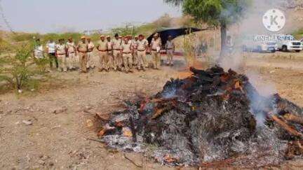 डीडवाना: जिला पुलिस अधीक्षक की मौजूदगी में डीडवाना में जप्त मादक पदार्थों को किया गया नष्ट, करोड़ों का सामान नष्ट