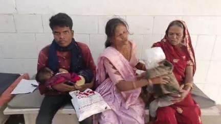 डूंगरपुर: महुड़ी गांव में शादी समारोह में जाते समय अचानक भेड़-बकरियों के झुंड से टकराई बाइक, बाइक सवार चार लोग हुए घायल