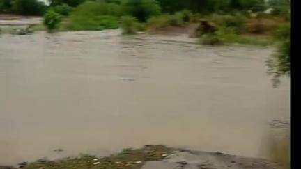हरदा: जिले में लगातार हो रही बारिश से अजनाल और सुखनी नदी का बढ़ा जलस्तर