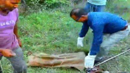 कसमार: खैराचातर गांव में वन विभाग की टीम ने किया जहरीले सांप का रेस्क्यू