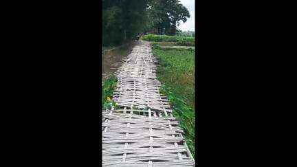 ময়নাগুড়ি: লক্ষীরচর এবং চারের বাড়ির এলাকায় বেহাল বাঁশের সাকো, বাঁশের সাকোর বদলে পাকা সেতুর দাবি জানিয়েছেন বাসিন্দারা #Jansamsya