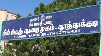 தூத்துக்குடி: மீன்பிடி துறைமுகத்தில் ₹10 கோடி மதிப்பிலான புதிய மீன் ஏலக்கூடம், வலை பின்னும் கூடங்கள் காணொளி மூலம் திறந்து வைத்த முதல்வர்