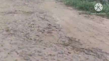 বাঁকুড়া ১: রাস্তা তৈরীর ৯ মাসের মধ্যেই বেহাল রাস্তা,দিঘলগ্রামে নিম্নমানের সামগ্রী ব্যবহারের অভিযোগে সরব স্থানীয়রা #jansamasya