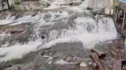தென்காசி: மேற்கு தொடர்ச்சி மலைப் பகுதியில் பெய்து வரும் கனமழையால் அருவிகளில் குளிக்க நீடிக்கும் தடை
