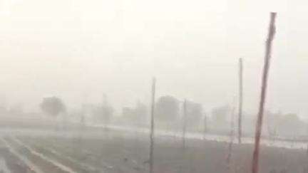 बुलढाणा: मान्सूनपूर्व पावसामुळे झालेल्या नुकसानीचे पंचनामे तातडीने पूर्ण करा - पालकमंत्री मकरंद जाधव पाटील