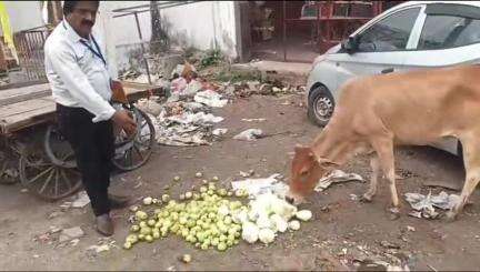बांसवाड़ा: ओजरीया सब्जी और फल मंडी में चिकित्सा विभाग के खाद्य सुरक्षा विभाग ने मिलावट के खिलाफ चलाया अभियान