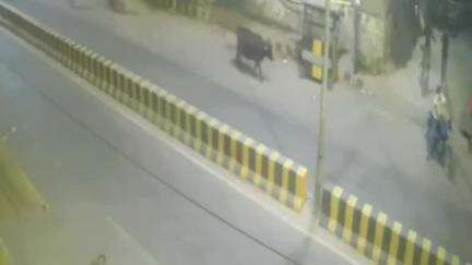 राजरूपपुर में दबंगों द्वारा घर में मारपीट और बमबाजी करने वाले आरोपियों की सीसीटीवी फुटेज आई, पुलिस कर रही है जांच