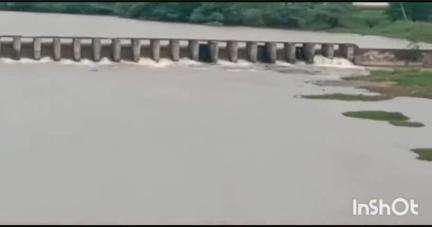 लातूर: लातूर अंबाजोगाई रोडवरील महापूर जवळील मांजरा नदीचे मे महिन्यातच नदीपात्र लागले व्हायला