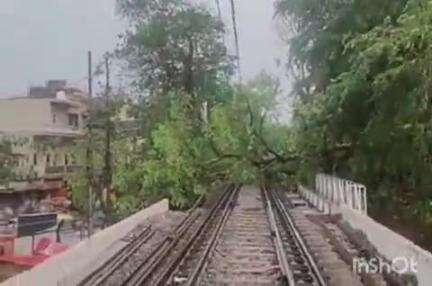 हरिद्वार: तेज आंधी से भीमगोडा के पास रेलवे ट्रैक पर गिरे कई पेड़, देहरादून-ऋषिकेश रेल मार्ग हुआ बाधित
