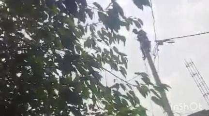 संभल: हयात नगर थाना के सैजना गांव में हाई वोल्टेज ड्रामा, खंभे पर चढ़ा युवक, पिता ने पैसे देने से किया मना