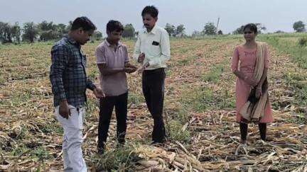 છોટાઉદેપુર: જિલ્લામાં પડેલા વરસાદ અને વાવાઝોડાના કારણે નુકસાન અંગે ખેતીવાડી અધિકારીની કચેરી દ્વારા સર્વેની કામગીરી હાથ ધરાઈ.
