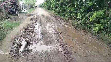 అసిఫాబాద్: మా గ్రామానికి రోడ్డు సమస్య తీరేనా, ఖిరిడి గ్రామస్థుల అవేదన #LOCALISSUE