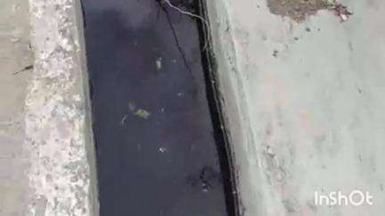 चरपोखरी: पसौर में स्वच्छता कर्मियों का भुगतान न होने से डोर टू डोर कचरा उठाने का कार्य बंद, लोगों को हो रही परेशानी #jansamasya