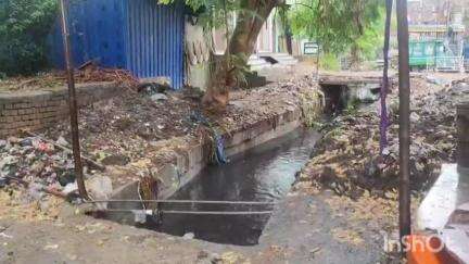 जहानाबाद: वार्ड 15 और 10 के बीच नाले से उड़ाही के बाद कचरा नहीं उठने से लोगों को हो रही परेशानी #jansamasya