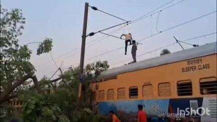 बिजनौर: मंडावर क्षेत्र में चंदक के पास रेलवे ट्रैक पर गिरा पेड़, राहत और बचाव कार्य में जुटे रेलवे के अधिकारी