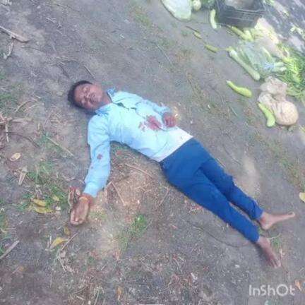 डोमचांच: कानीकेंद जंगल के पास टेंपो को हाईवा ने मारी टक्कर, एक महिला की मौत व चार लोग घायल