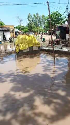 बट सावित्री पूजन के दिन से #तिकुनिया में लगता है मेला!
हाल ए तिकुनिया मेला ! 
सवाल है मेला का पैसा कौन लेता है